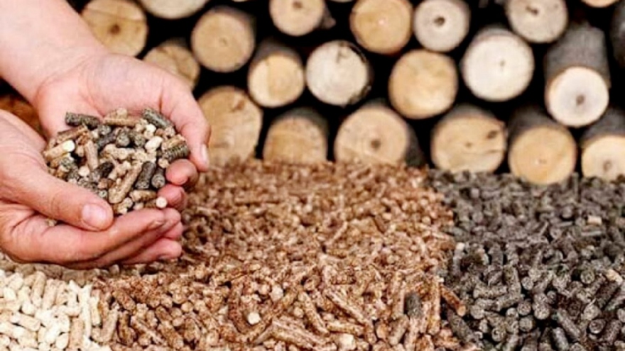 RoK and Japan become largest importers of Vietnamese wood pellets